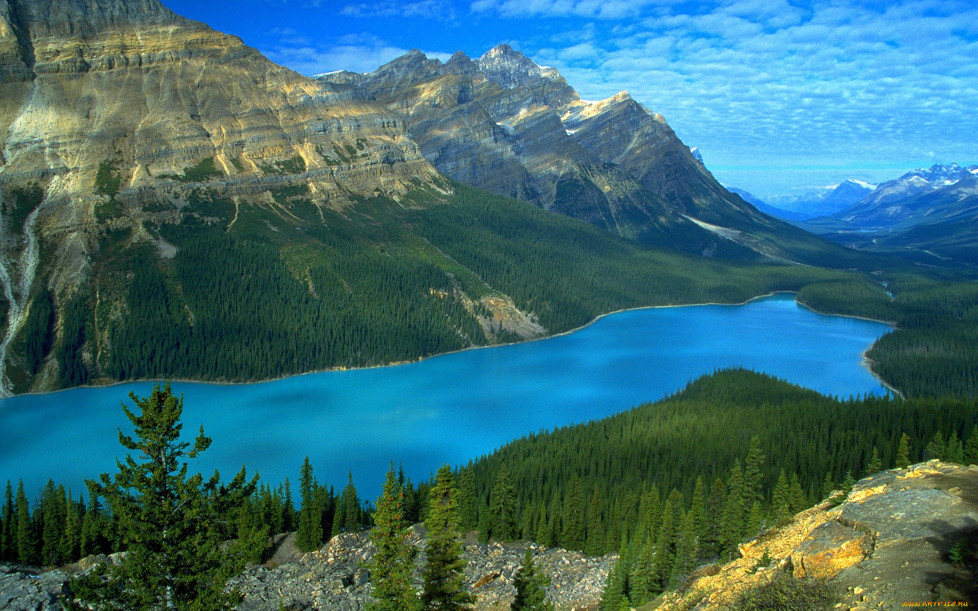 peyto, lake, icefields, parkway, alberta, ca, , , 